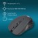 Mouse call 545MW black optical (1600DPI) wireless USB for a laptop (4but)