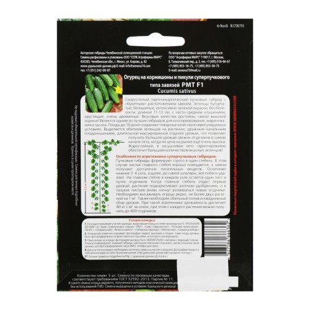 Cucumber seeds "RMT" F1 Superbound type, parthenocarpic, 5 pcs-3