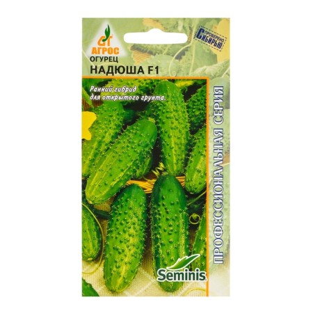 Cucumber seeds "Nadia" F1 8pcs* Rev. Seminis