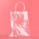 Plastic package MS 18 × 23 × 10 cm