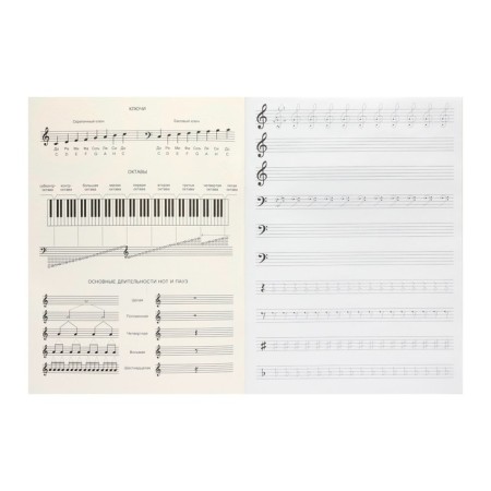 Note for notes A4, 24 sheets "Cheburashka", cover coated cardboard, glossy lamination-1