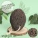 Natural pedicure pumice, with a suspension, 9.5 × 7 cm, in a box, brown color
