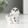 Polystone souvenir "Friday dog" MIX 2.8x3x4 cm
