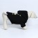 Folder Off-Dog for dogs (foot with a hose), size M (DS 29, Osh 38-42, OG 50-54), Black