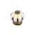 White/gold