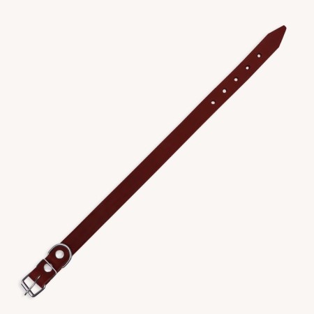 Collar of a single-layer leather, 54 x 2.5 cm, Osh 35-45 cm, brown-2