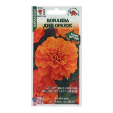 Flower seeds of marigolds 