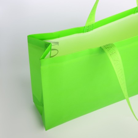 Bag without fastening, green color-2