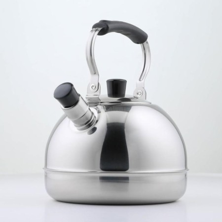 Kettle, 3 l, with a whistle and a folding handle, induction-1
