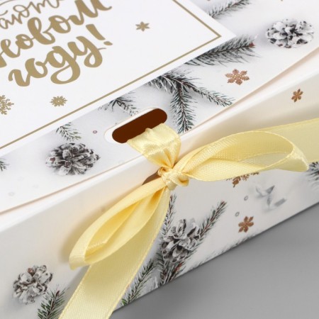 Gift box "New Year's branches", embossing, 16.5 x 12.5 x 5 cm, New Year-3