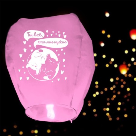 The flashlight of the desires “you all I need”, cats, heart shape, pink-2