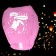 The flashlight of the desires “you all I need”, cats, heart shape, pink