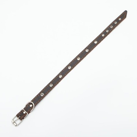 A single -layer leather collar with corrugated eyelets, dimensionless, 50 x 2 cm, brown-2