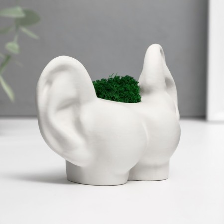 Kashpo concrete "ass with ears" with moss 8*10cm white (moss green stabilized)-1