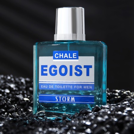Men's toilet water Chale Egoist Storm, 90 ml-1
