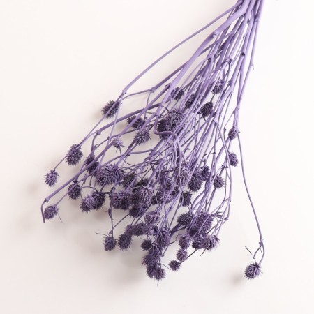 A set of dried flowers "Eringium", a ban 5 pcs, length 50 (+/- 6 cm), purple-2