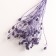 A set of dried flowers "Eringium", a ban 5 pcs, length 50 (+/- 6 cm), purple