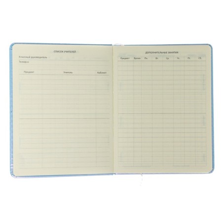 Universal diary for grade 1-11 "Why?", Firm cover, artificial leather, with foam, lies, 80 g/m2-5