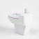 Lighter "Toilet", Piezo, Gas