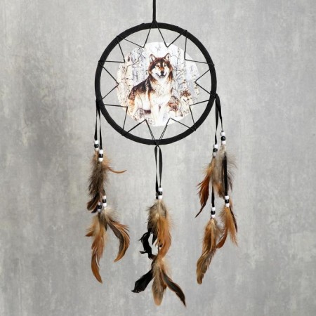 Dreams 4 "Gray Wolf" Circle d = 20 cm