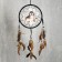 Dreams 4 "Gray Wolf" Circle d = 20 cm