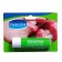 Vaseline for the lips in a pencil, aloe Vera, 4.8 grams