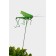 Set of plugs "Frog and grasshopper", 3.5/4 cm