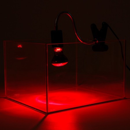 Terrarium lamp, with lighting switch-2
