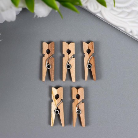 Set of decorative mini-trumpers Mr.Painter "Natural" 25 pcs