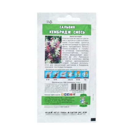 Seeds Flower Salvia "Cambridge" 0.1 g-1