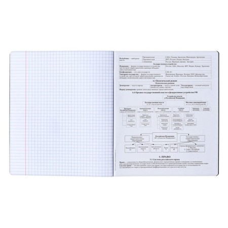 A set of subject notebooks 48 sheets, 12 pieces, Erichkrause "Ves in the root", plastic cover silk-screen covers, Blok Offset 100%, information block-8