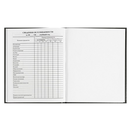 Universal Diary 5-11 classes, 48 ​​sheets "I'm fine", solid cover, matte lamination, block 65g/m2-9