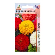 Seeds of zinnia elegant rainbow 0.5g*