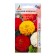 Seeds of zinnia elegant rainbow 0.5g*