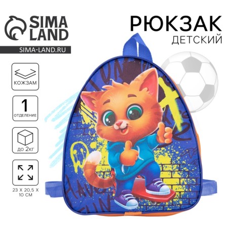 Baby backpack for the boy "Cat and graffiti", 23x20.5 cm, lightning department