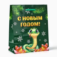 Package Gift New Year Laminated 