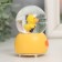 Souvenir Polystone Water Ball Light "Entertainment Duck" MIX 7x5x5 cm