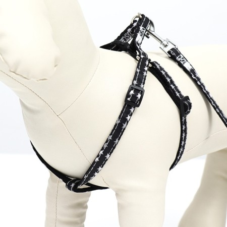 The ammunition set is two-layer, size S, leash 120 x 1 cm, ok 24-38 cm, og 29-41 cm, stars 9683-5