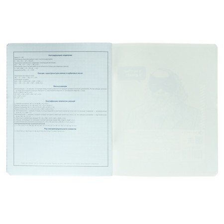 A notebook “Bright details”, 48 sheets in the “Chemistry” cage, covered cardboard, selective twin-lak, UV-lak, OFSET block-5