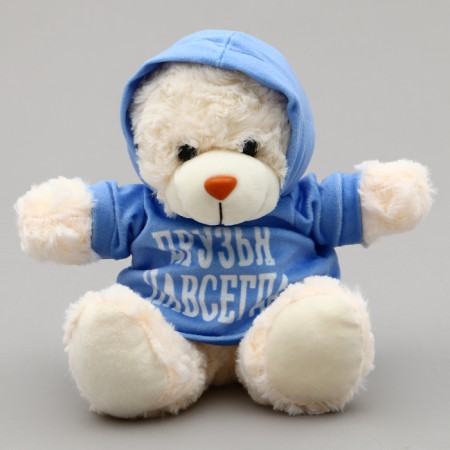 Soft toy Bear "Friends Forever" in the jacket-3