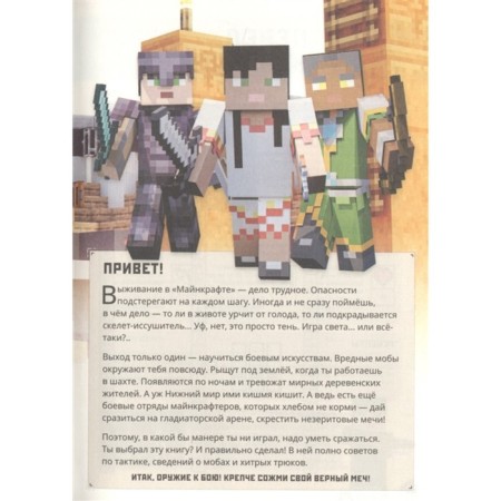 The first acquaintance “Guide to martial arts. Minecraft "-2