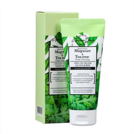 Grace day face foam, refreshing and cleansing, with wormwood and tea tree, 100 ml