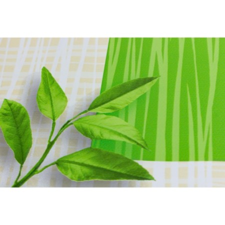 Camelia gluing "Juicy citrus", 140 cm, 20 p.m., art. 544/1-4
