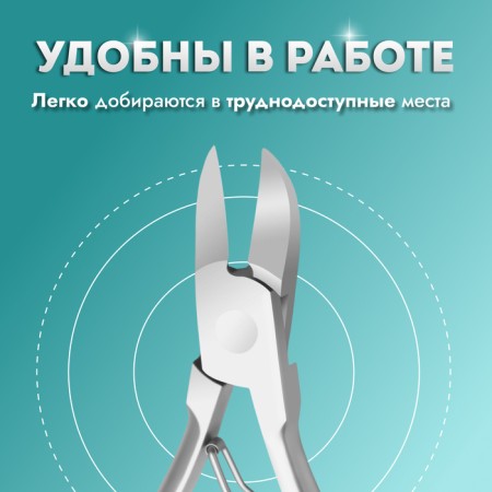 Pigitan nippers, 12 cm, blade length - 20 mm, silver color-3
