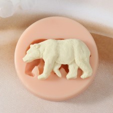 Mold Silicon 