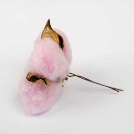 Dry flowers of cotton, set 3 pcs., Size 1 pc. 6 × 6 cm, pink color-1