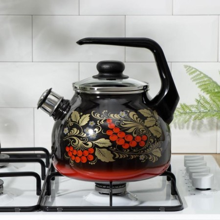 Teapot "Ryabina", 3 l, induction, black color-4