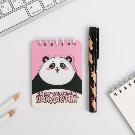 Set of notebook and handle "Pandastik"-1