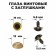 Rifle eyes with plugs, “sparkles” set 24 pcs, size 1 pc: 1.8 cm, yellow color