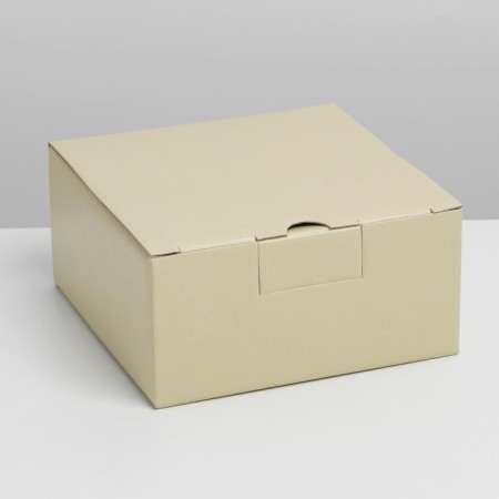 Gift folding box, packaging, "beige", 15 x 15 x 7 cm-2